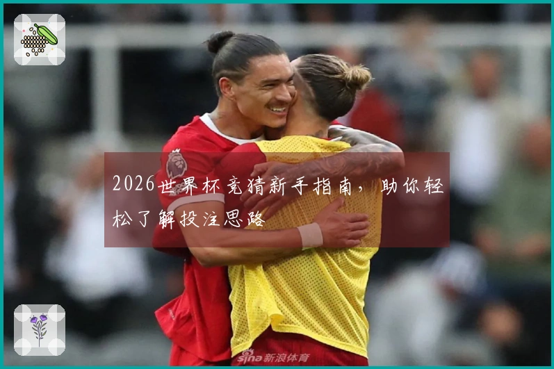 2026世界杯竞猜新手指南，助你轻松了解投注思路