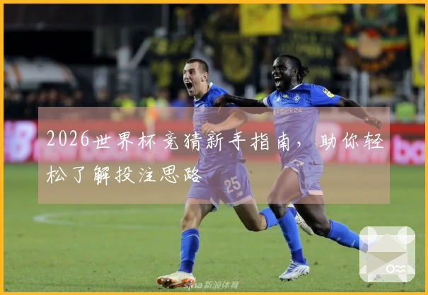 2026世界杯竞猜新手指南，助你轻松了解投注思路