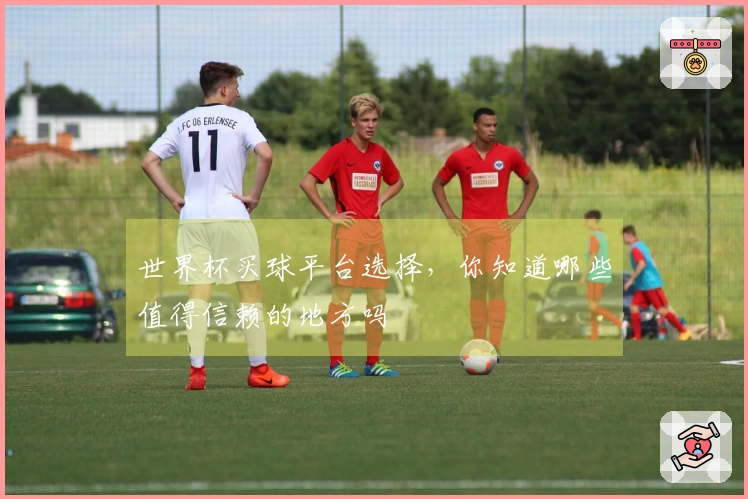 世界杯买球平台选择，你知道哪些值得信赖的地方吗