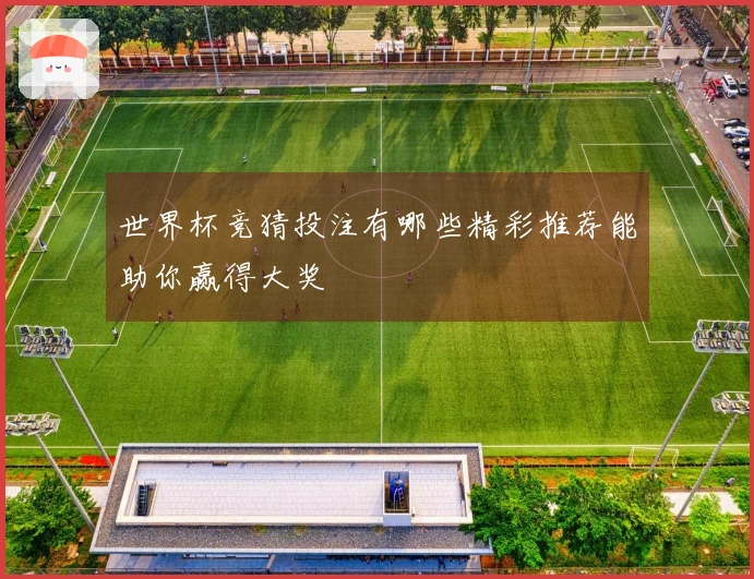 世界杯竞猜投注有哪些精彩推荐能助你赢得大奖