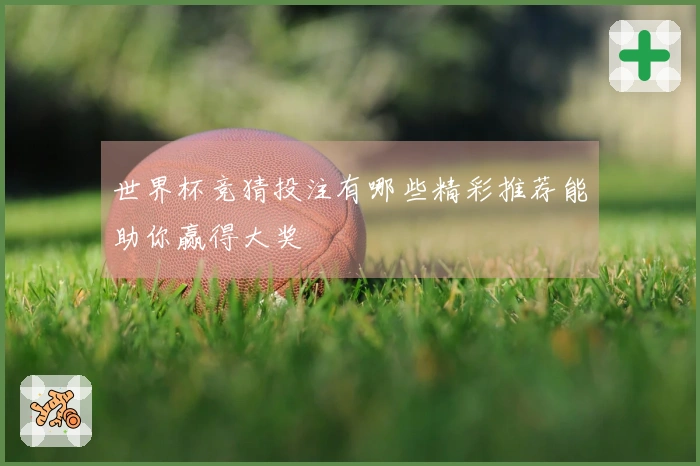 世界杯竞猜投注有哪些精彩推荐能助你赢得大奖